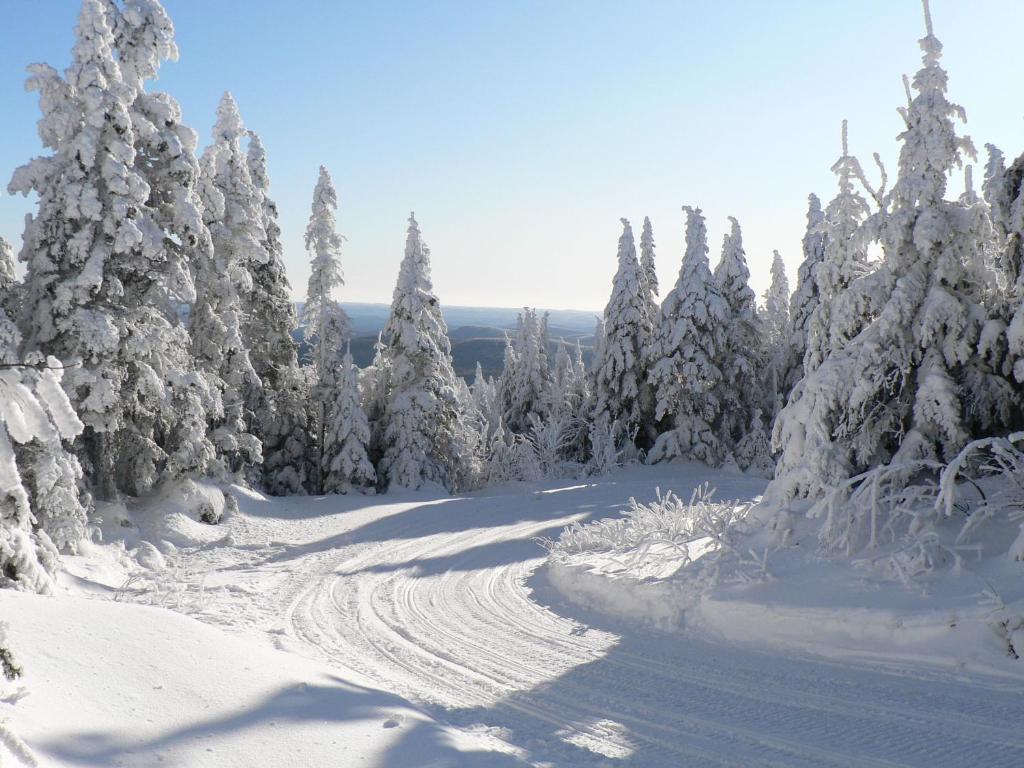 La Cuillere A Pot Saint-Donat-de-Montcalm Exterior foto